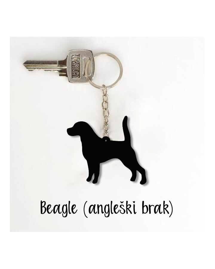 Obesek Beagle