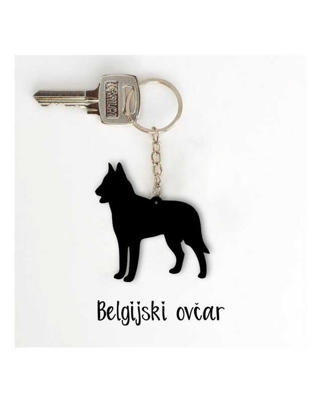 Obesek Belgijski ovčar