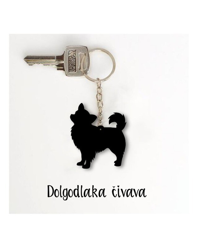 Obesek Čivava dolgodlaka