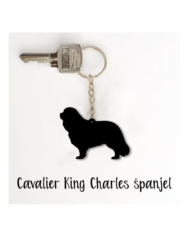 Obesek Cavalier King Charles španjel