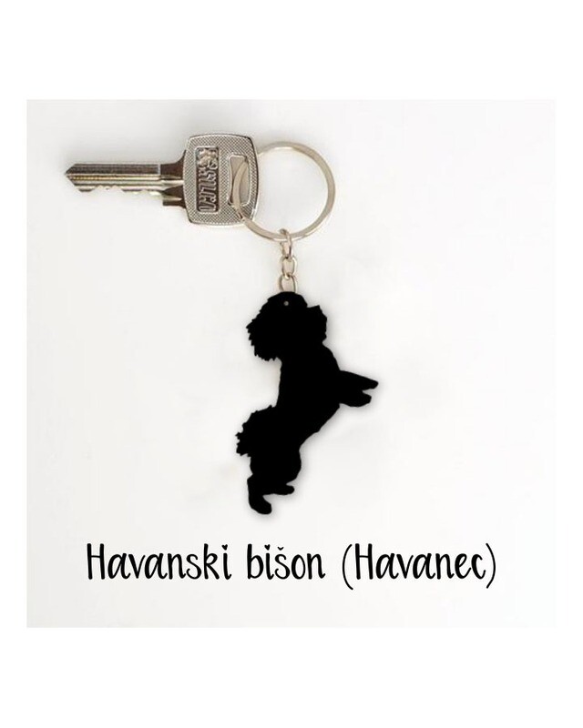 Obesek Havanski bišon