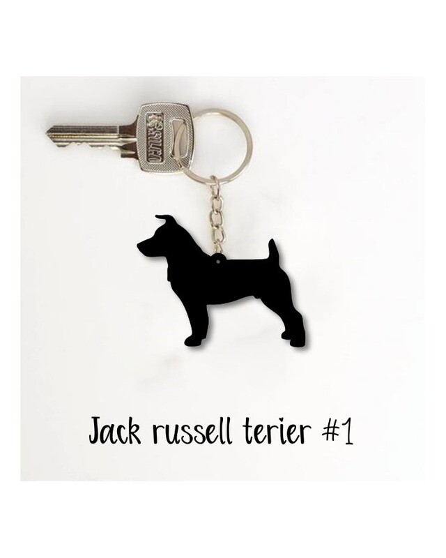 Obesek Jack russell terier #1
