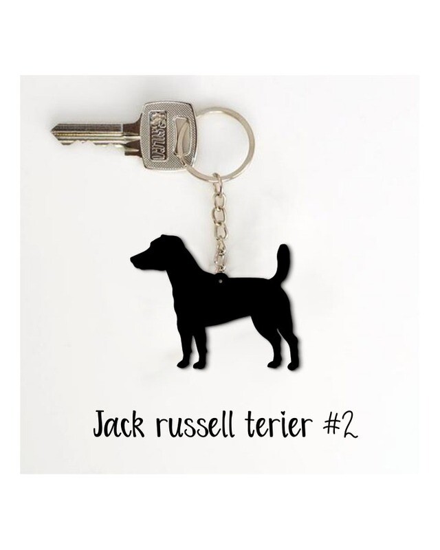 Obesek Jack russell terier #2