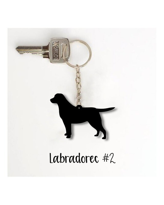 Obesek Labradorec #2
