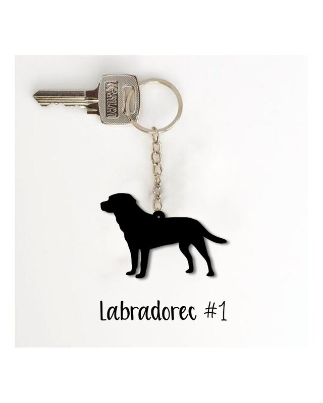 Obesek Labradorec #1