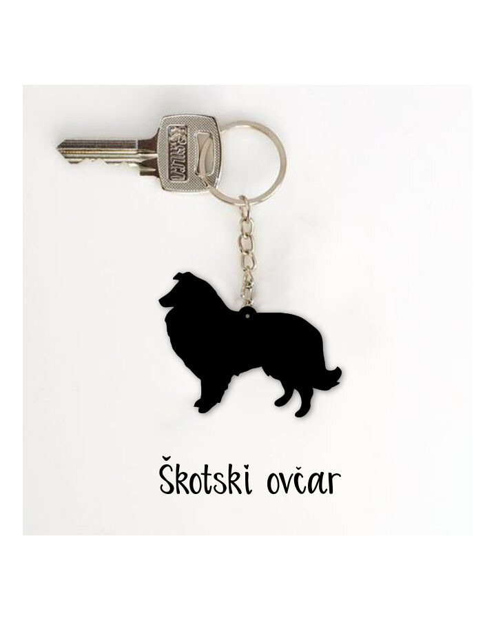 Obesek Škotski ovčar