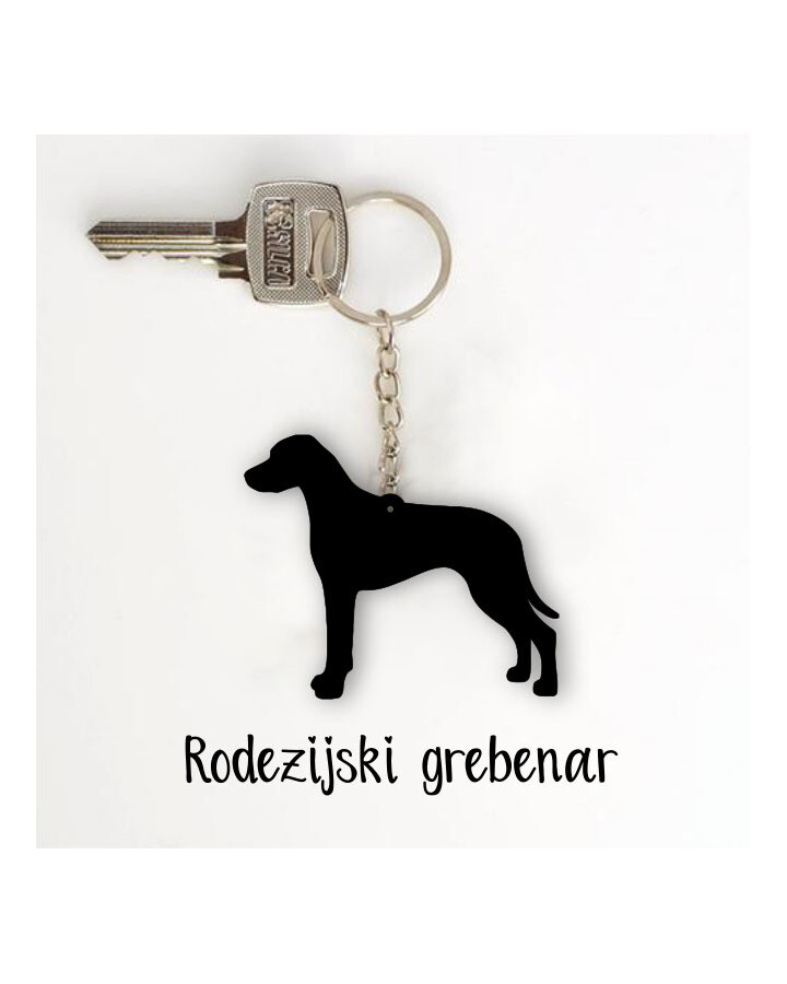 Obesek Rodezijski grebenar