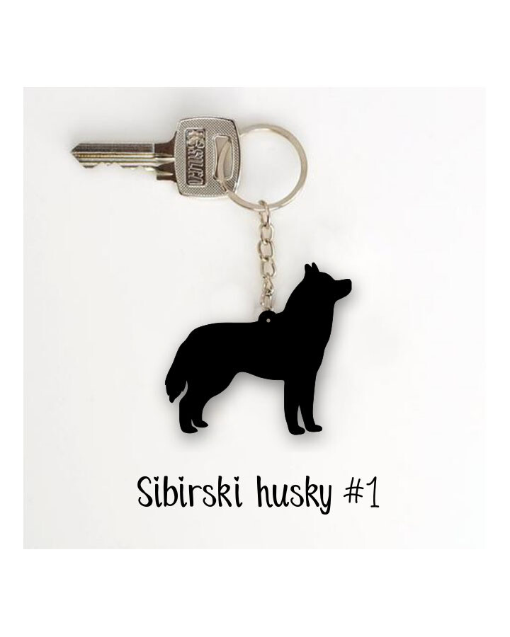Obesek Sibirski husky #1