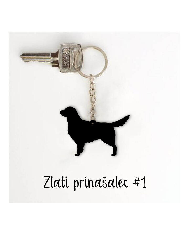 Obesek Zlati prinašalec #1