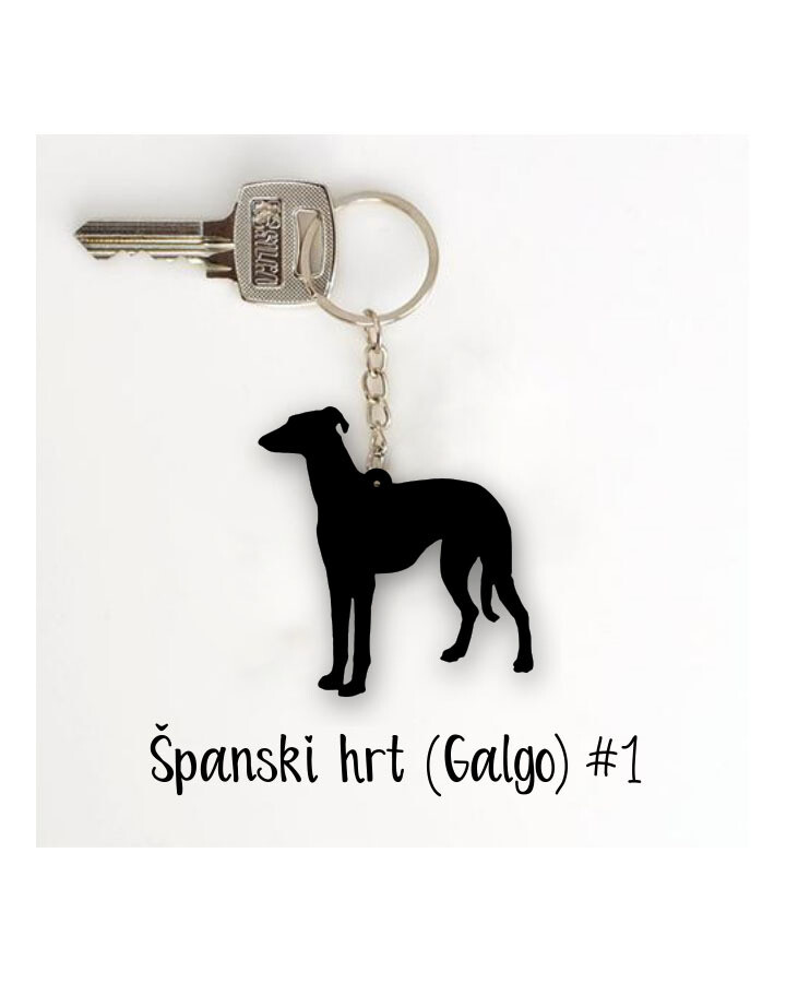 Obesek Španski hrt - galgo #1