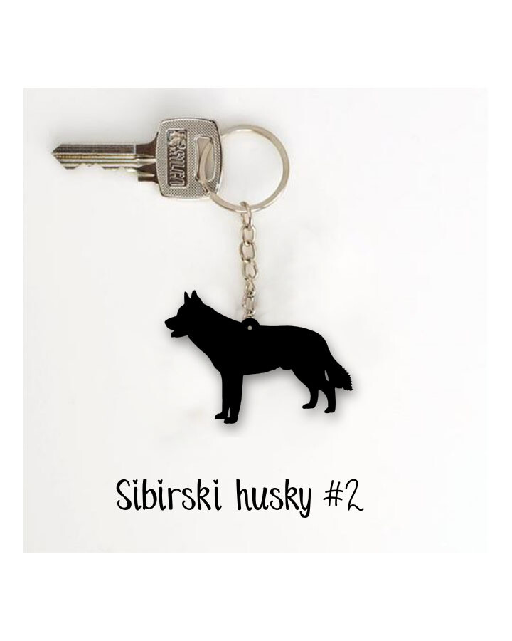 Obesek Sibirski husky #2