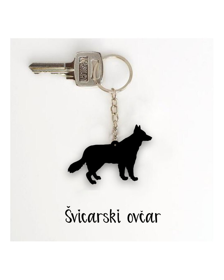 Obesek Švicarski ovčar