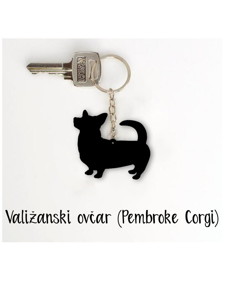 Obesek Valižanski ovčar - corgi