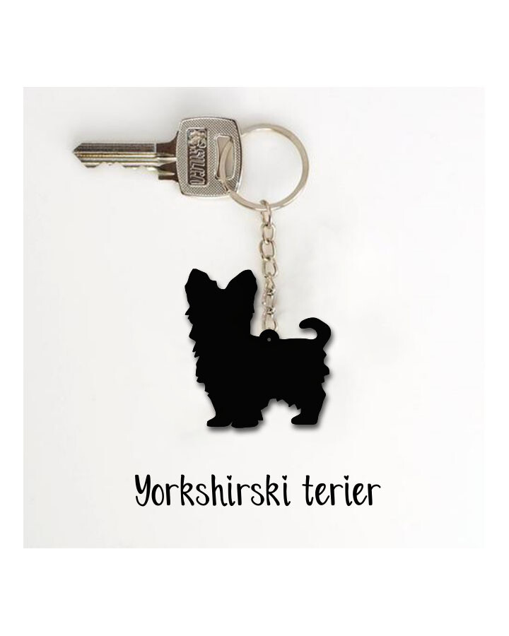 Obesek Yorkshirski terier