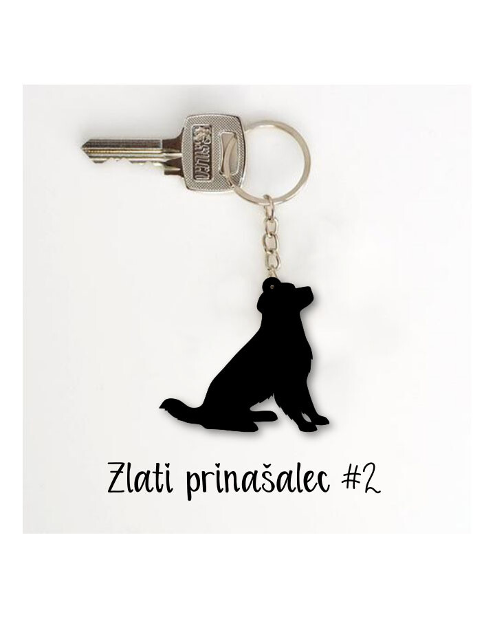 Obesek Zlati prinašalec #2