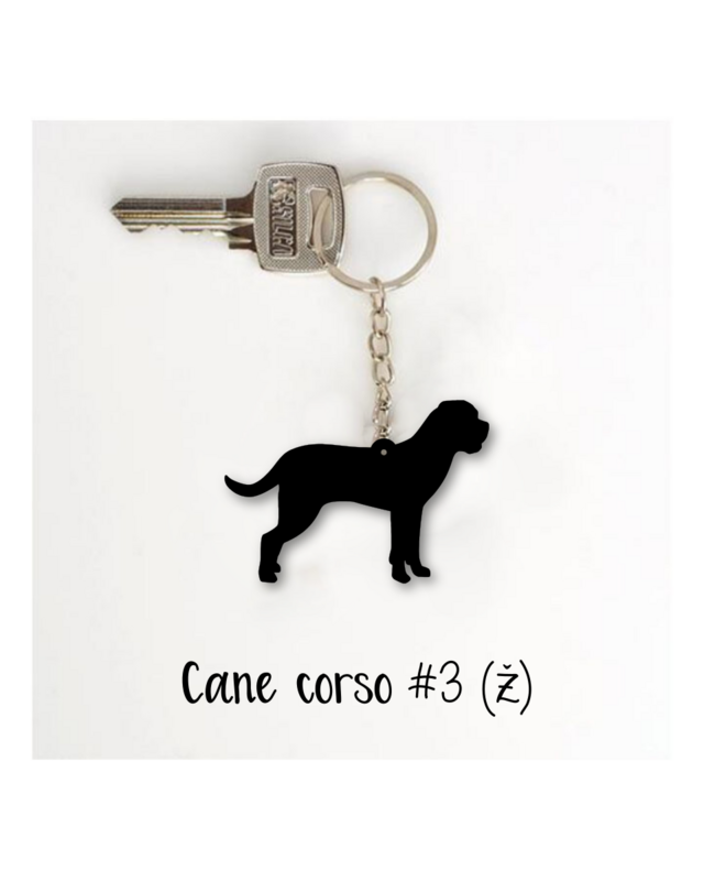 Obesek Cane corso #3 - samička