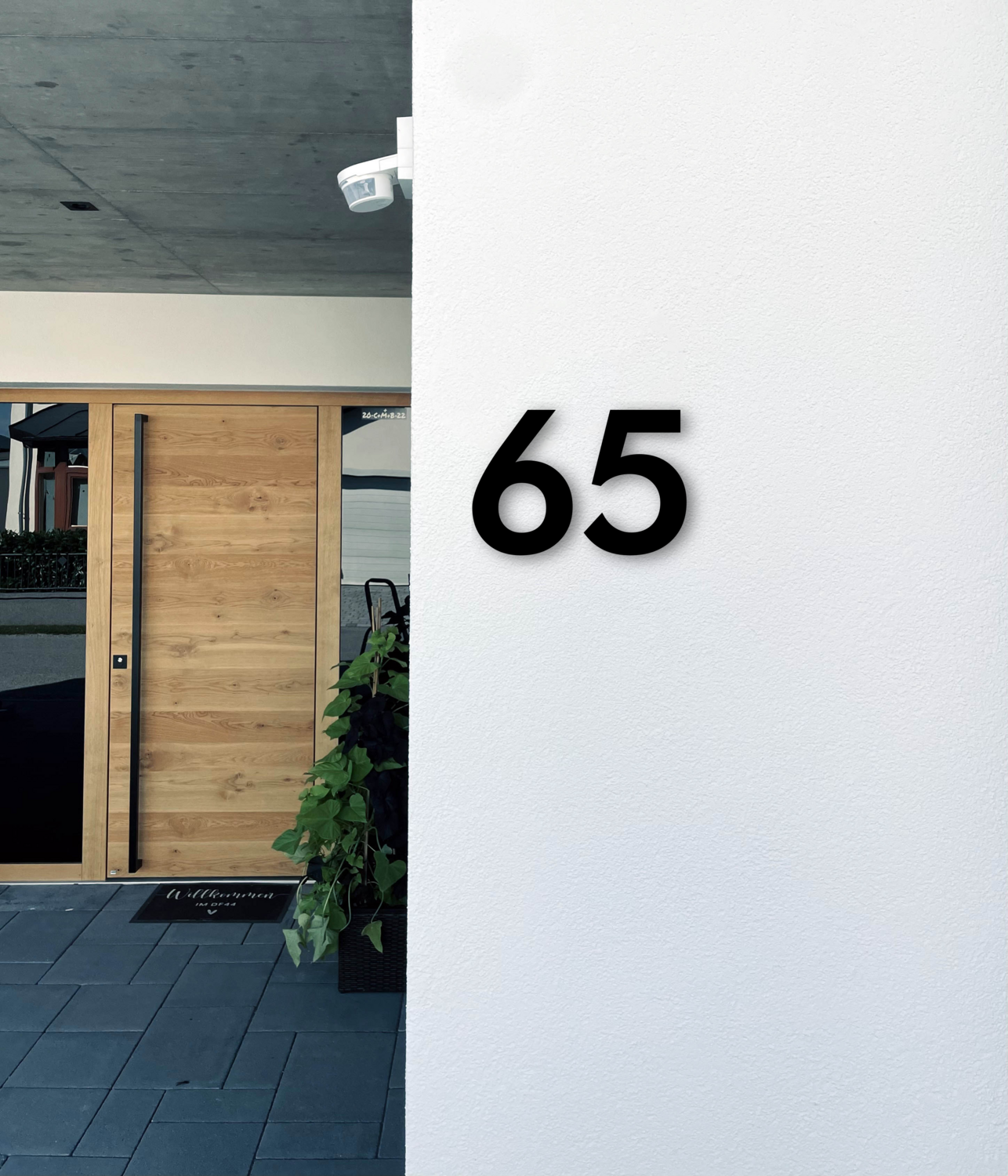 Solo &quot;65&quot;