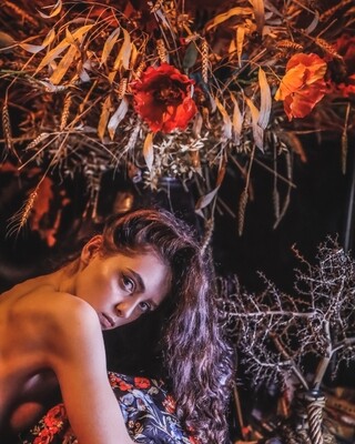 Rouge II