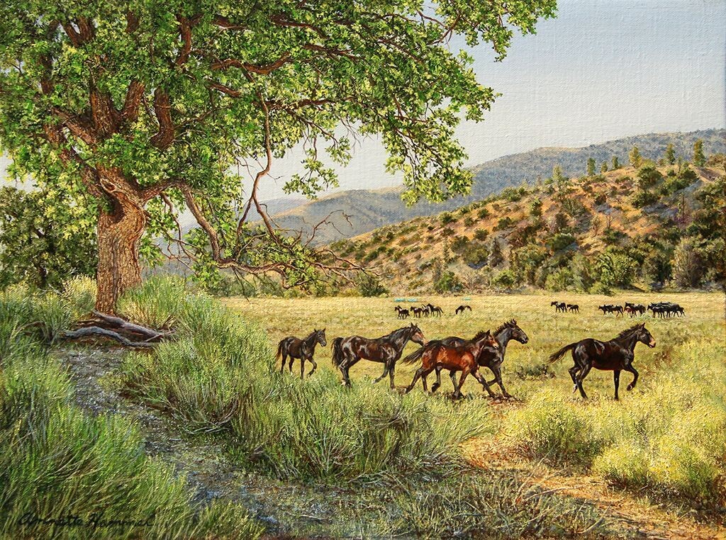 Annette Hammer - Mustang Valley