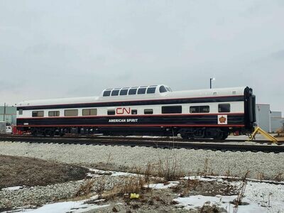 Canadian National CN Business Car N 1:160 Scale Decal Set