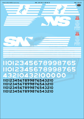 NS Norfolk Southern GP38-2 GP40-2 G Scale Decal Set