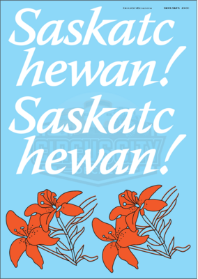 Saskatchewan! Grain Hopper Girl Graffiti Full Decal set G 1:29 Scale SKNX 397367