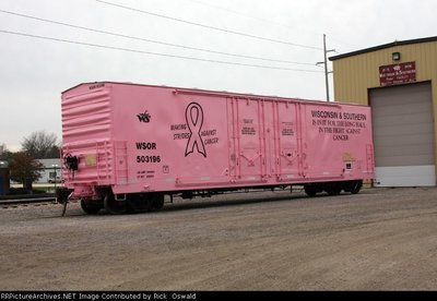 Wisconsin &amp; Southern Railroad Evans Double Plug Door Boxcar Breast Cancer Awareness