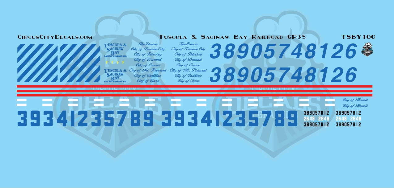 Tuscola and Saginaw Bay Railway TSBY GP35 HO N Scale Decal Set