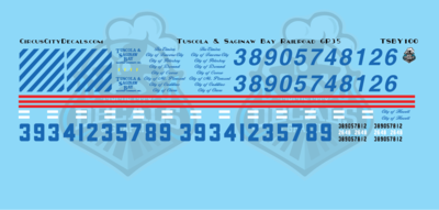 Tuscola and Saginaw Bay Railway TSBY GP35 N Scale Decal Set