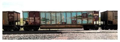 BNSF Coalporter Bethgon Whale Graffiti HO Scale