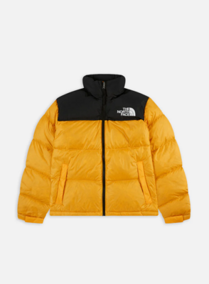 Giacca The North Face (PIUME VERE)