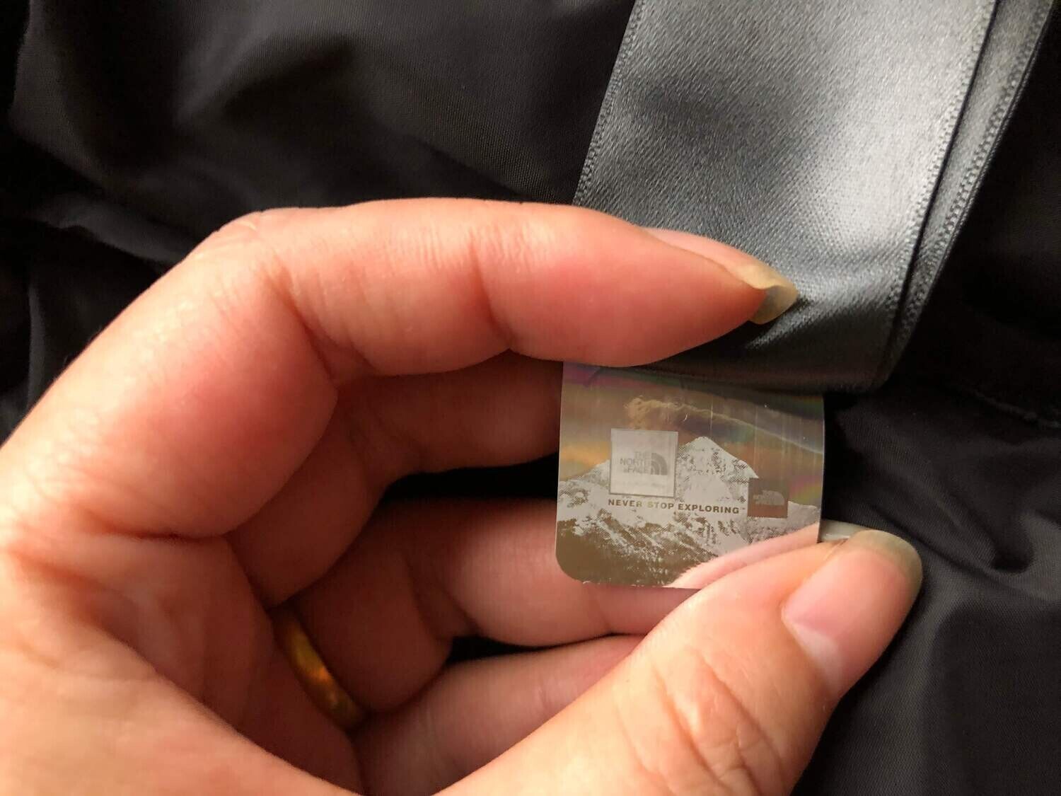 Giacca TNF (PIUME VERE)