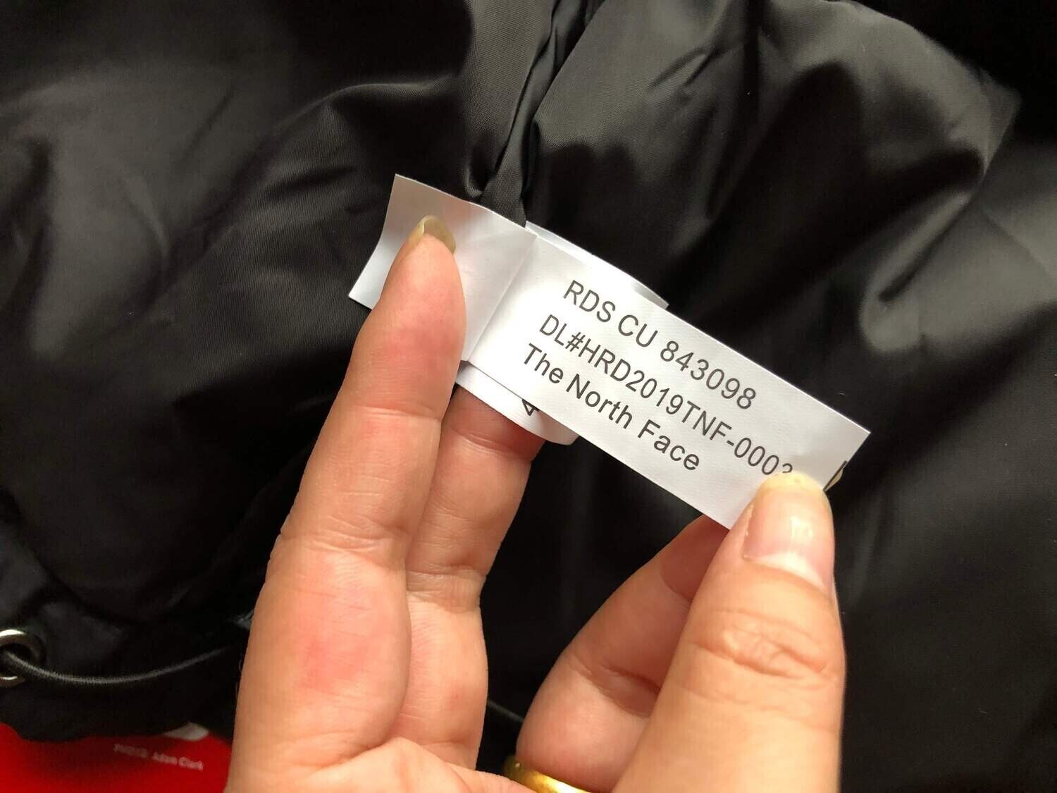 Giacca TNF (PIUME VERE)