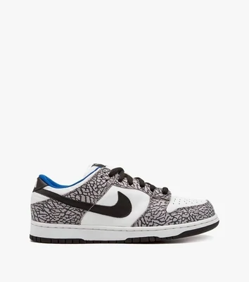  SB DUNK Low Pro