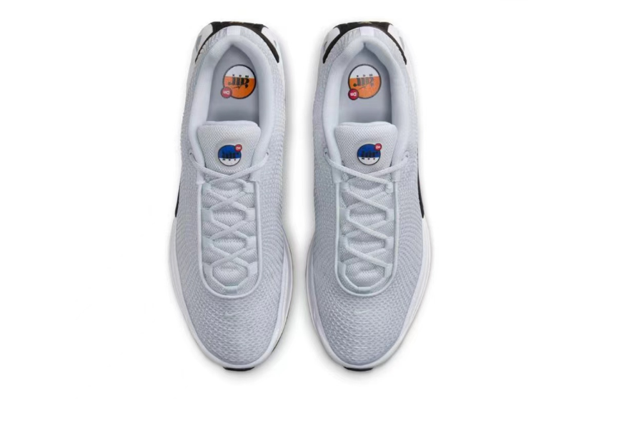  Air Max DN