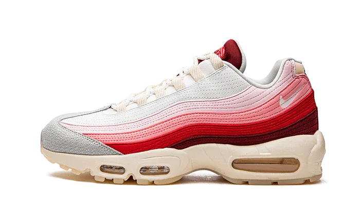 Air Max 95 Anatomy of air