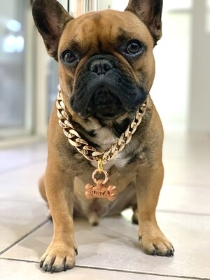 Chain & Necklaces Collars