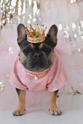 Royalty Atlantis Crown Pet Crown