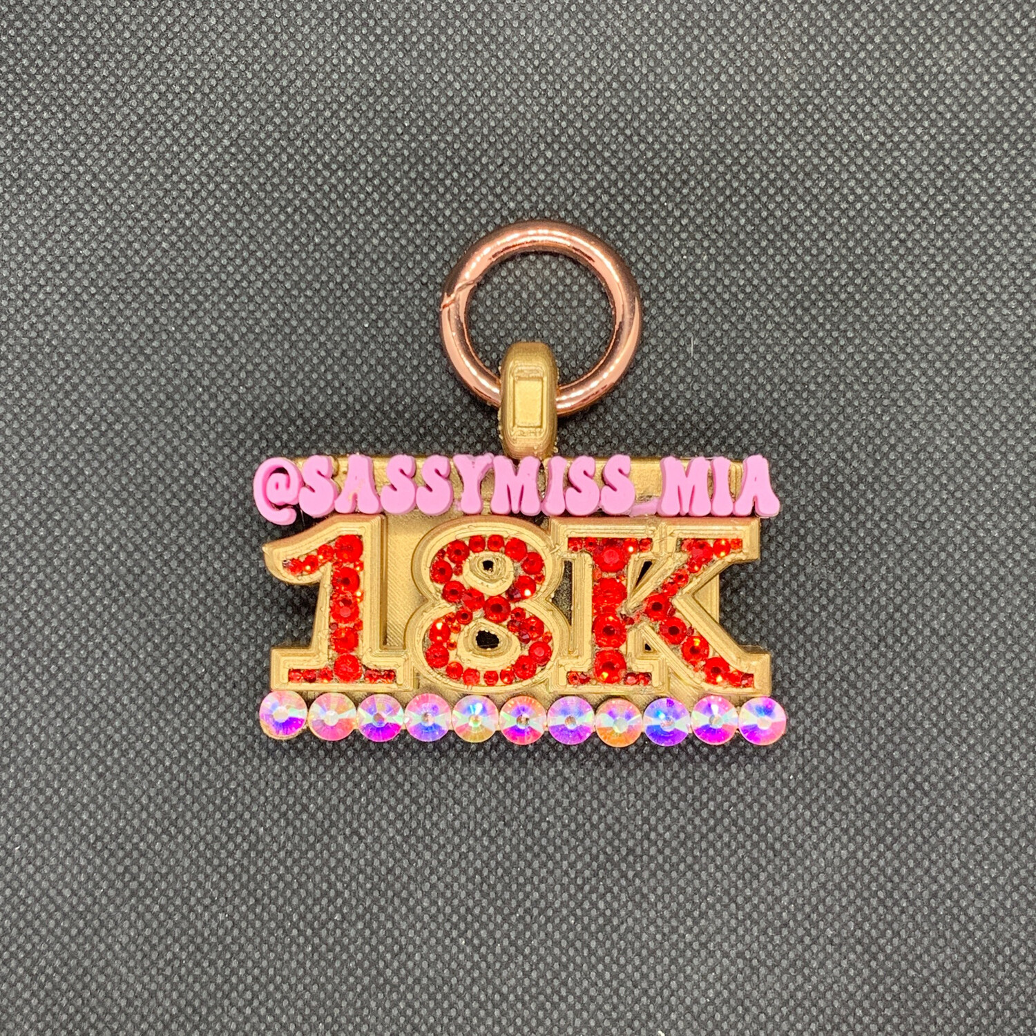 INFLUENCER  FOLLOWERS  - CUSTOM PET TAG (LARGE)