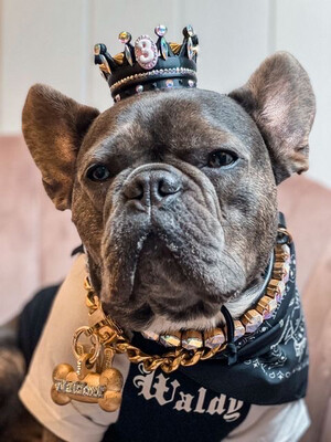 The Boujee (Snap On) Pet Crown