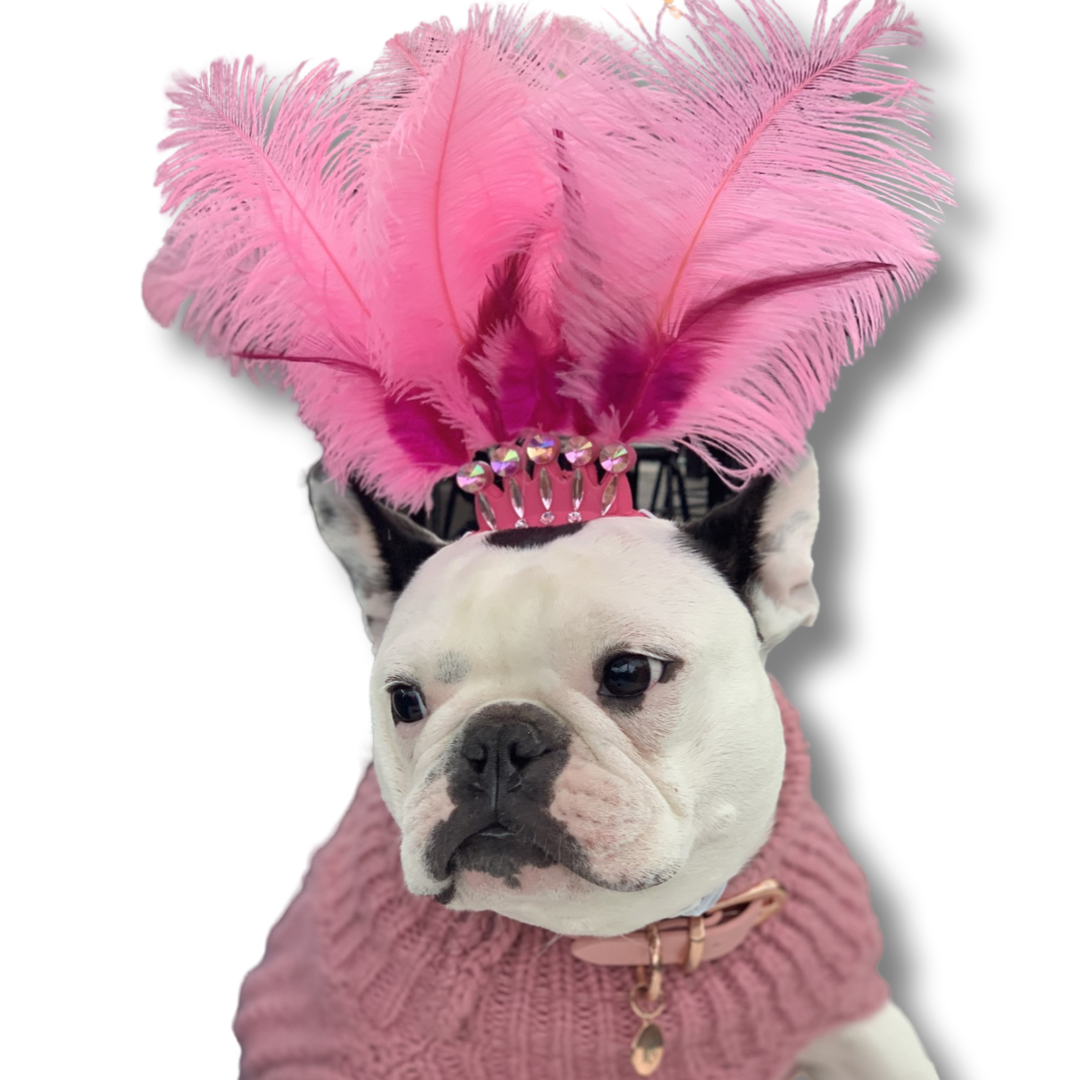 Showgirl Head Dress