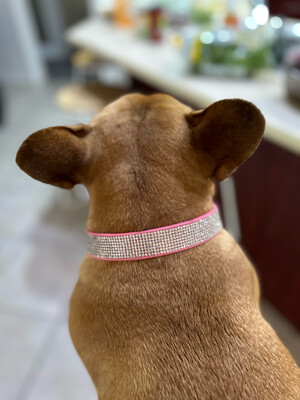 Velvet Blinged Pet Collars - Pink