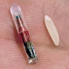 Microchip para um cão / Microchip for a dog
