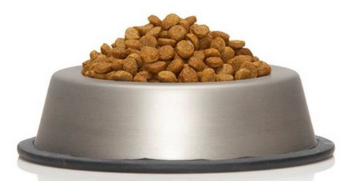 Uma semana de alimentação para um cão / A weeks worth of food for a dog
