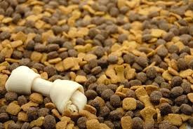 Alimentação para todos os cães por um dia / Feed all the dogs for a day