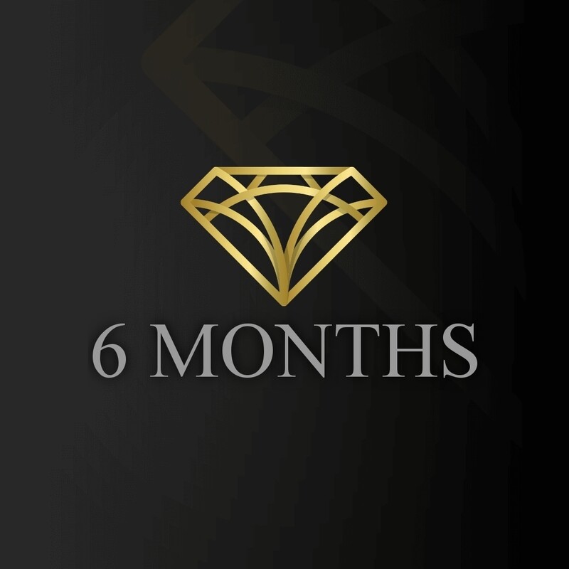 Joe Forex 6 Months