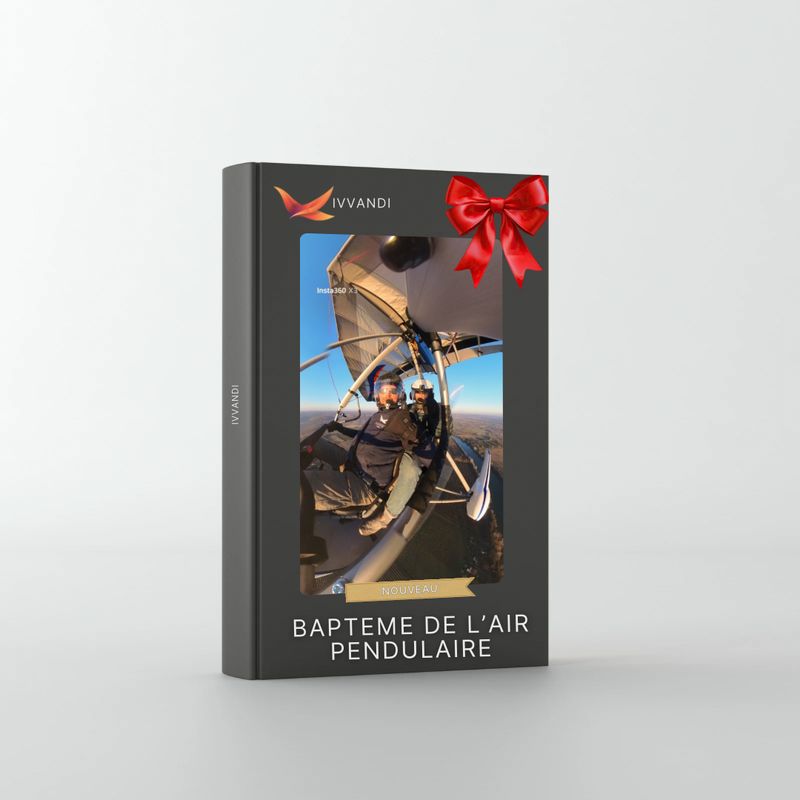 Offre NOEL : Baptême de l’air en pendulaire