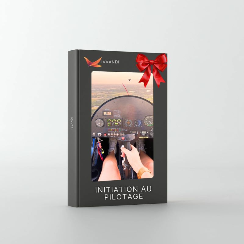 Offre de Noël : Vol d'initiation au pilotage d'Autogire