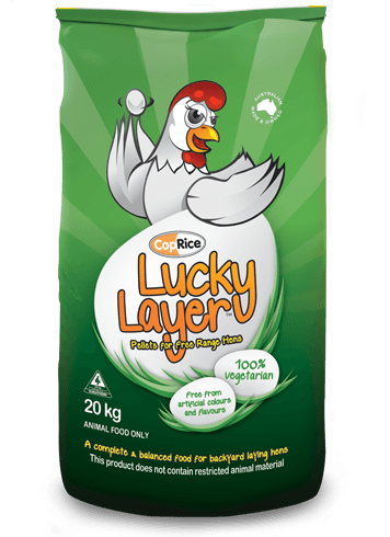 Coprice Lucky Layer