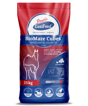 Prydes Bio Mare Cubes  20 kg - 1 Pallet  50 bags